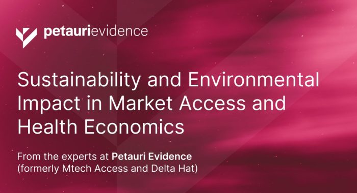 Sustainability and Environmental Impact in Market Access and Health Economics cover